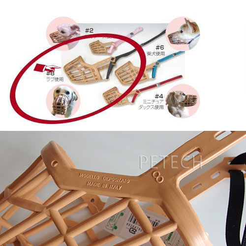 ��󥿥å����ء���8����