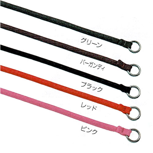 アメリカンカラー 11-60 【メール便対応】の紹介画像2