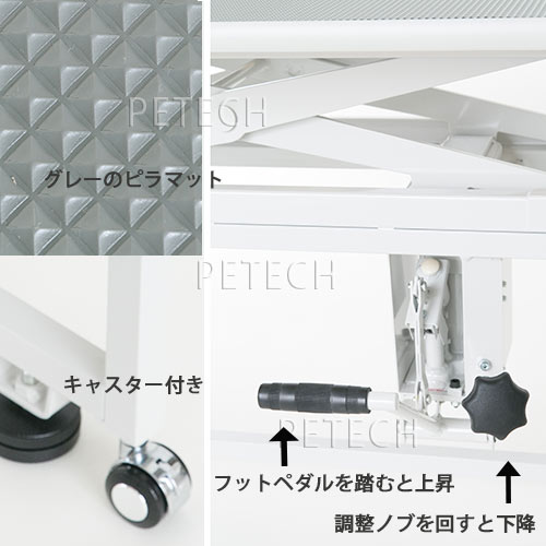 �������ȥ�ߥ󥰥ơ��֥롡X-900��ŷ�ĥ��졼