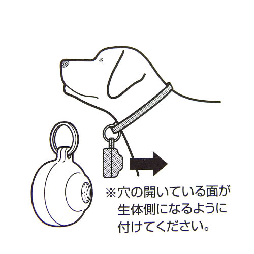 �ե꡼�֥��å������ڥ������ѥͥ����֡��ڥ᡼�����б��ۡ�