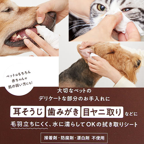 �������˥å������åȥ� �����ȡ�80�����ꡡ��