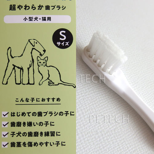 サンプル画像2