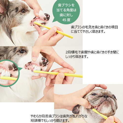 やわらか段差歯ブラシ（Hi taper）　M　made of organics 　【メール便対応】　★