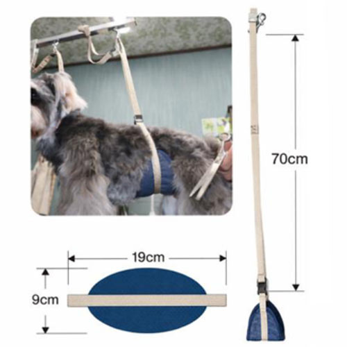 �ڥ���ڥå����ۥܥǥ��إ�ѡ��꡼�ɡ��ڥ᡼�����б��ۡ�