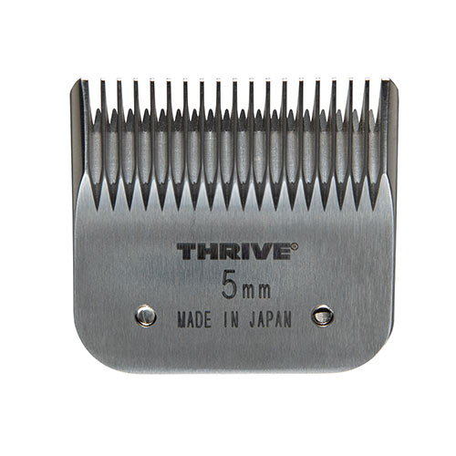 THRIVEʥ饤MODEL808ؿϡ5mm ڥåѥХꥫۡڥ᡼бۡ