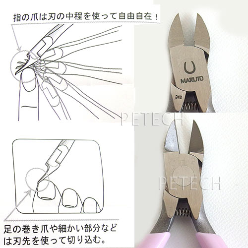 �ޥ�ȡ��ͥ���˥åѡ����ͥ���ץ� Color��NP-1011V [�Х�����åȥԥ�]���ڥ᡼�����б��ۡ���