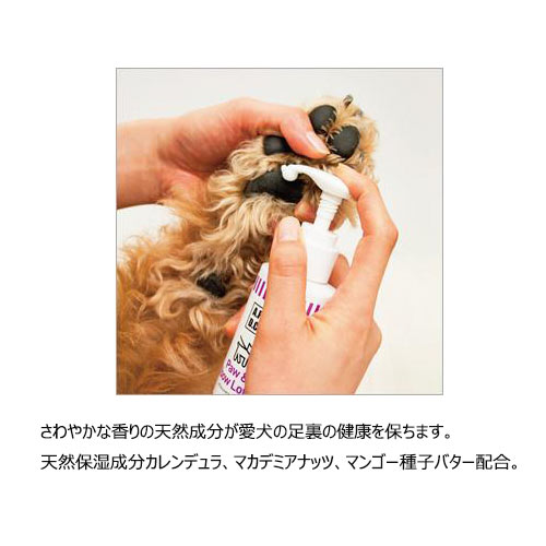 APDC���ݥ�������ܥ����������125ml����