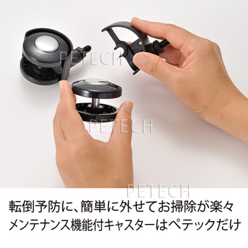 ���ƥʥ󥹵�ǽ�դ����㥹������1�ġ���