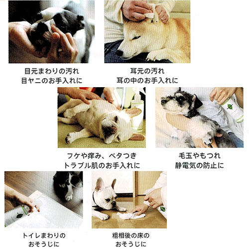 �ڥ��å������WAFONA�ʥ�ե��ʡ˥����륤���󡡥��ץ졼�Υ����դ�300ml+���ؤ��ܥȥ롡��