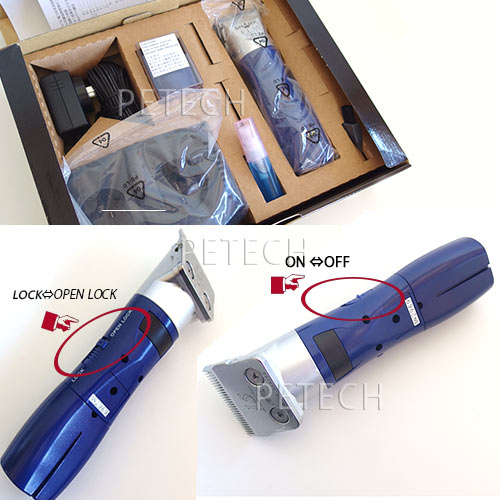 �ڿ����֥롼�ۥ��㡼��3��1mm���աˡ��ڥڥå��ѥХꥫ���