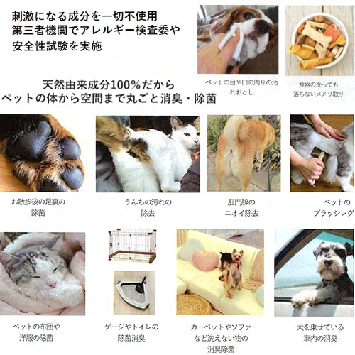 APDC�����쥤���������������꡼��ե��쥹�ȡ�300ml����