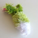 オーマ・ロー ダイコン ★