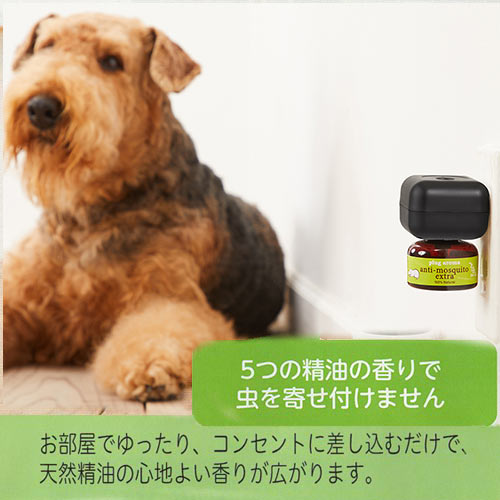 �ڥץ饰���åȡۡ�������⥹�����ȡ��������ȥ顡25ml��˧���