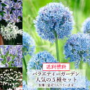 【送料無料限定セット】 秋植えの球根 バラエティーガーデン 人気の5種セット トリテレイアルディー・早咲きグラジオラスコルビリーアルバ・イングリッシュブルーベル・アリウムカエルレウム・スノードロップ各1袋 【ご予約区分B】