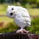 ■鳥のオブジェ■ベニーズどうしたのミミズク QY-227