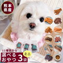 【 300円OFF クーポン 有 】 選べる 3袋 ミニ 犬 おやつ 無添加 国産 ドッグフード 馬肉 鶏肉 鹿肉 ジャーキー 犬用 ペット シニア 大型犬 柴...