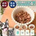 【300円OFF クーポン 有 】 選べる レトルト 4袋 75g 馬肉 鶏肉 鳥肉 鹿肉 トッピング 無添加 国産 ウェットフード パウチ 犬 おやつ ペット...
