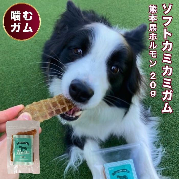 【 300円OFF　クーポン 有 】 ホルモン ジャーキー 20g ドッグフード 馬肉 犬 ガム 無添加 国産 馬肉 ..