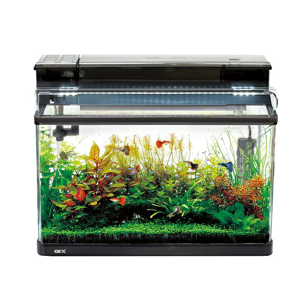 ペットフォレスト 楽天市場店のGEX(ジェックス) ラピレスRV60GT LEDセット | 水槽 LEDセット 曲げガラス 水槽セット アクアリウム GEX グランデ600 水槽ライト 沈む水槽 水草 水質調整剤 ガラスフタ ヒーター 水温計 アクア用品 クリアLED フィルター グランデマット-P 電気代 水替え パーツ｜アングル3