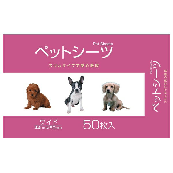 ◇コーチョー コーチョースリムワイド50枚 44cm×60cm