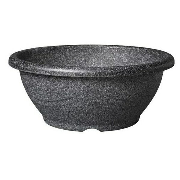 ◇スドーメダカ鉢ラメ15号