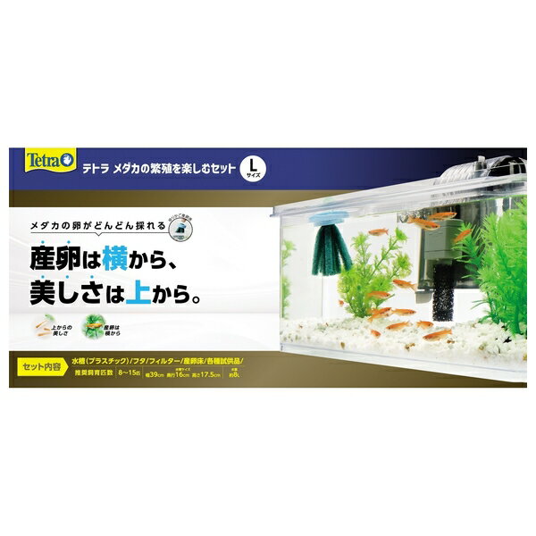 ◇スペクトラム ブランズ ジャパン テトラ メダカの繁殖を楽しむセット L