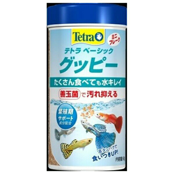 商品の特徴 スペクトラムブランズジャパン テトラ ベーシック グッピー 60g たくさん食べても水キレイ＋善玉菌で汚れを抑える　繁殖期サポート成分配合　高タンパクで食いつきUP！ 【使用方法】 1日最低2‐3回、3分以内で食べ尽くす量を与えてください 【使用上の注意】 与えすぎに注意 製品仕様 【品番】：70064 【原材料】：穀類、フィッシュミール、植物性蛋白質、シュリンプミール、酵母、油脂、藻類、ビタミン類、ミネラル類 ※商品詳細につきましてはメーカーHP等よりご確認下さいますようお願いいたします。 ※商品のデザイン、仕様は予告なく変更する場合がありますのでご了承ください。 JANコード：4004218297883