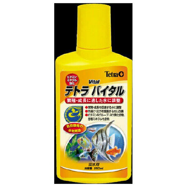 ◇スペクトラムブランズジャパン T181テトラバイタル 250cc