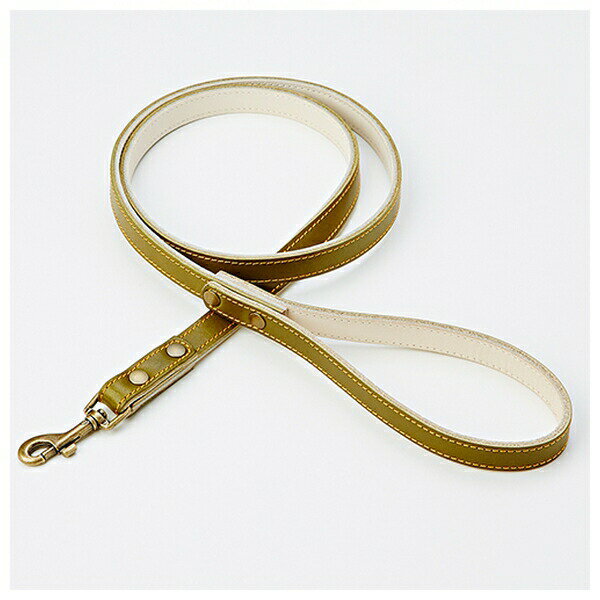 ڥƥ ɥᥤ ƥ쥶 ꡼ SS꡼ A57550