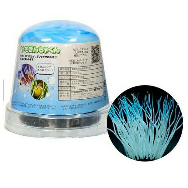 ◇神畑養魚用品 いそぎんちゃくん M イエロー