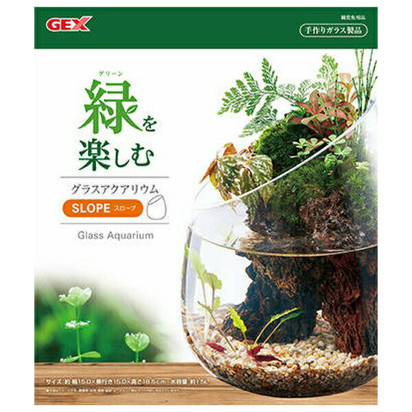 ◇ジェックス グラスアクアリウム スロープ | グラスアクアリウム アクアスロープ 水草 テラリウム コケ..