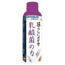 在庫限りで廃番◇寿工芸 乳酸菌の力 150ml