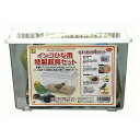 ◇三晃商会 B52 インコひな用 特製飼育セット