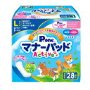 ◇第一衛材 PMP-753 マナーパッドActive ビッグパック L 28枚