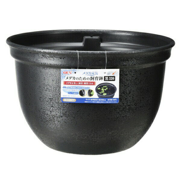 ◇GEX(ジェックス) メダカ元気 メダカのための飼育鉢 黒320