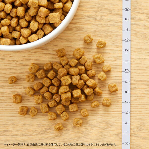【1kg×3個】◇ニュートロ ナチュラルチョイス 小型犬用 エイジングケア チキン&玄米 シニア犬用 1kg | ドッグフード ニュートロ シニア犬用 小型犬用 チキン 玄米 ペットフード ナチュラルチョイス 鶏肉 ドライフード 皮膚被毛 オメガ3 脂肪酸 腸内環境 成分 petforest-10027680 ペットフォレスト 楽天市場店 サンプル画像3