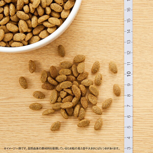 【2kg×2個】◇ニュートロ キャット ナチュラルチョイス 減量用 アダルト チキン 2kg | 猫 食事管理 猫用フード 減量用 キャットフード 低カロリー 低脂質 ニュートロ キャットフード チキン アダルト猫 ペットフード 自然素材 オメガ脂肪酸 消化性 吸収良好 皮膚 petforest-10027787 ペットフォレスト 楽天市場店 サンプル画像3
