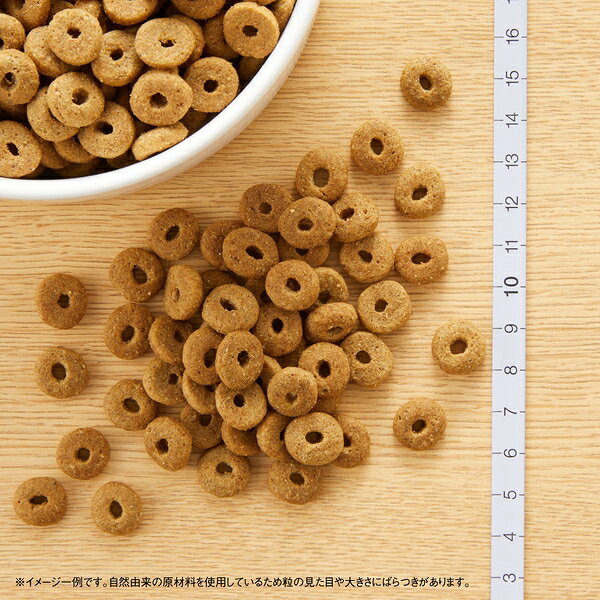 サンプル画像3