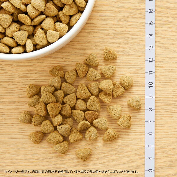 サンプル画像3