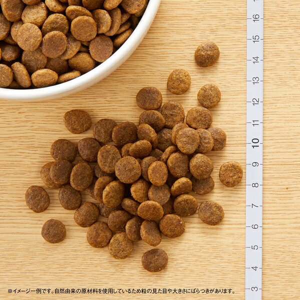 【4kg×2個】◇ニュートロ ワイルドレシピ 超小型犬~小型犬用 成犬用 ラム 4kg | ニュートロ ワイルドレシピ ドッグフード 高タンパク 穀物フリー 犬 ドライフード 小型犬 成犬用 ラム ペットフード 自然素材 ナチュラルフード おやつ 無添加 肉食 高品質 petforest-10027716 ペットフォレスト 楽天市場店 サンプル画像3