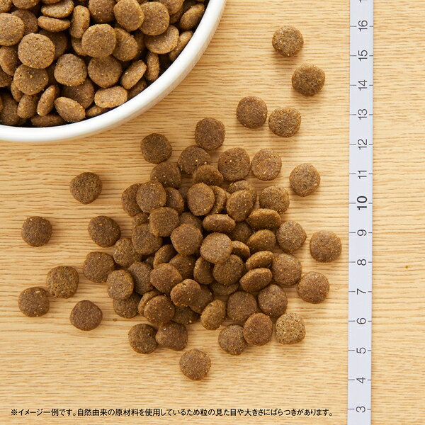 【400g×3個】◇ニュートロ キャット ワイルドレシピ アダルト サーモン 成猫用 400g | キャットフード ニュートロ ワイルドレシピ アダルト サーモン 猫フード 高タンパク 穀物フリー 肉食猫 自然素材 ペットフード 成猫用 鶏脂 オメガ3 オメガ6 400g petforest-10027736 ペットフォレスト 楽天市場店 サンプル画像3