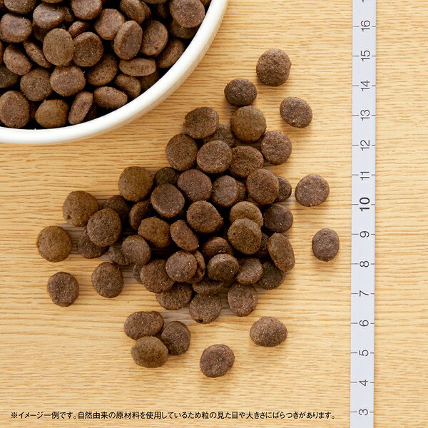 【2kg×2個】◇ニュートロ ワイルドレシピ 超小型犬~小型犬用 成犬用 ビーフ 2kg | ドッグフード ニュートロ ワイルドレシピ 超小型犬用 成犬用 穀物フリー ビーフ ドッグフード ビーフフード 超小型犬用 ペットフード 高タンパク 自然素材 穀物不使用 犬のえさ petforest-10027768 ペットフォレスト 楽天市場店 サンプル画像3