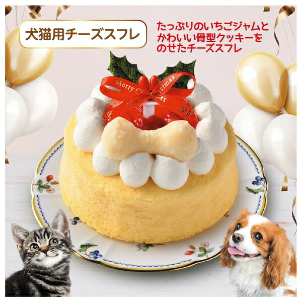 猫用クリスマスケーキ｜通販で買える！可愛いデザインのペットケーキを探しています！