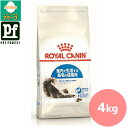 ロイヤルカナン インドア ロングヘアー(室内で生活する長毛の猫専用フード 成猫用) 4kg 猫用 ドライフード【在庫有り】お一人様5点まで