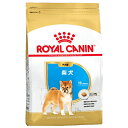 ロイヤルカナン 柴犬 専用フード 子犬用 3kg 犬用 ドライフード【在庫有り】お一人様5点まで