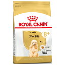 ロイヤルカナン プードル 専用フード 中・高齢犬用 800g 犬用 ドライフード【在庫有り】お一人様5点まで