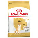 ロイヤルカナン 柴犬 専用フード 中・高齢犬用 3kg 犬用 ドライフード【在庫有り】お一人様5点まで