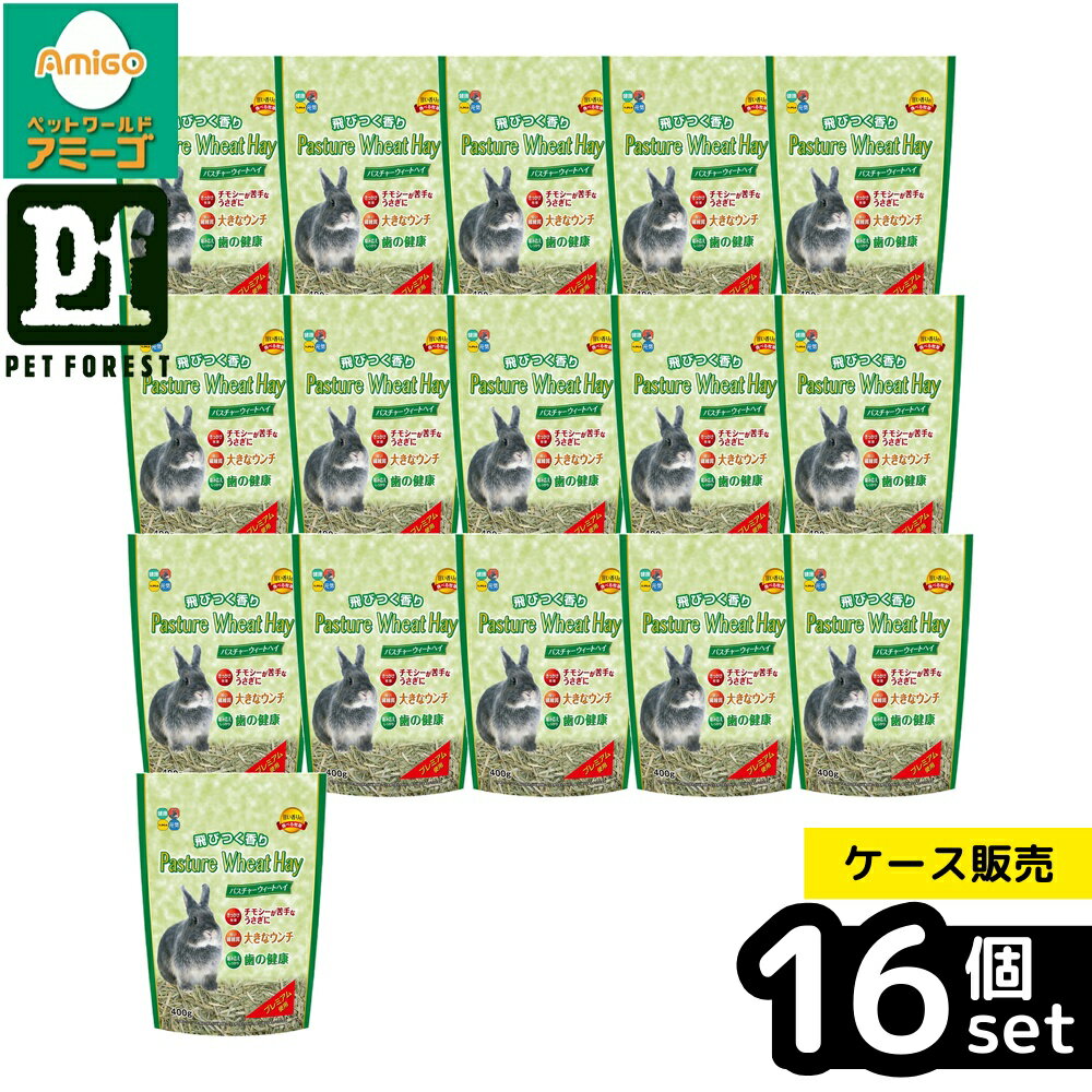 ��Ȣ��� 16�ĥ��åȡۡ��ϥ��ڥå� �ѥ����㡼�������ȥإ� 400g ������ ���� | �ѥ����㡼�������ȥإ� ������ ���� �ϥ��ڥå� ��ưʪ �ա��� ����...