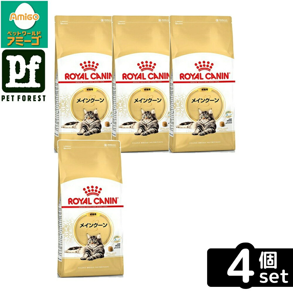 【4個セット】ロイヤルカナン メインクーン 専用フード 成猫用 2Kg 猫用 ドライフード【在庫有り】お一人様5点まで