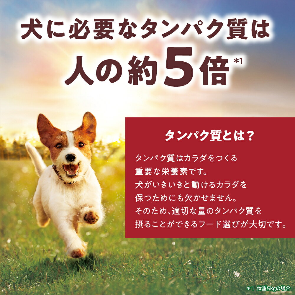 ◇ユニ・チャーム Physicalife 成犬用 チキン&大豆入り 2kg | ドッグフード フィジカライフ 成犬用 チキン 大豆入り ペットフード トリーツ 餌 エサ 犬 2kg フィジカライフ フィジカライフドッグフード 成犬フード タンパク質 消化率 高タンパク 国産 ドライフード petforest-10000055 ペットフォレスト 楽天市場店 サンプル画像2